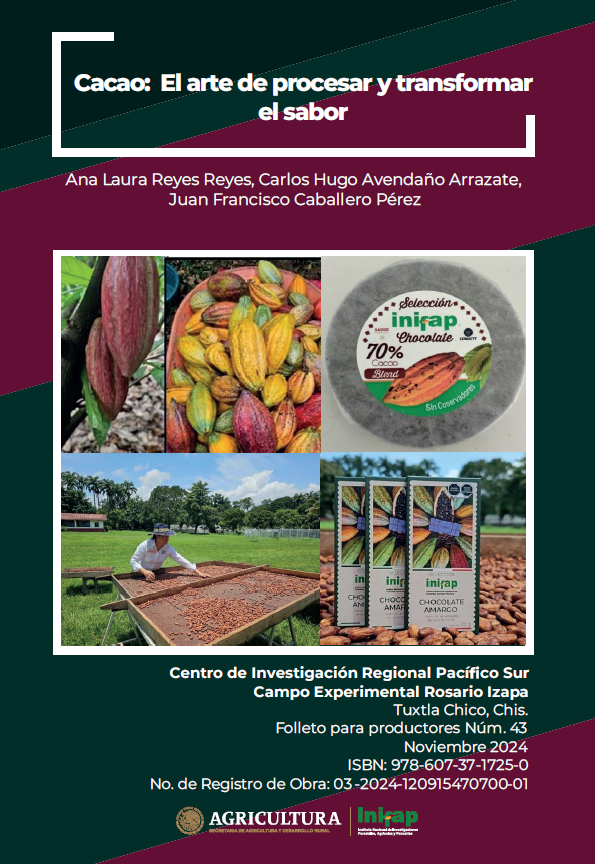 Cacao: El Arte de Procesar y Transformar el Sabor