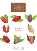 Manual Básico del Cultivo de Cacao